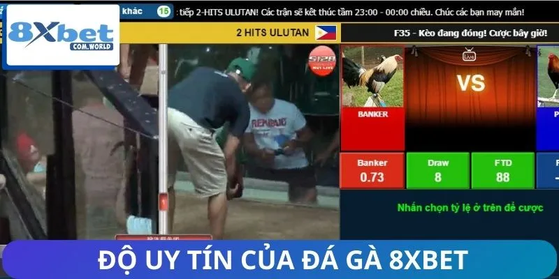 Người Chơi Đánh Giá Sàn Đá Gà 8XBET Ra Sao? 1 Đánh giá sàn đá gà 8XBET khách quan