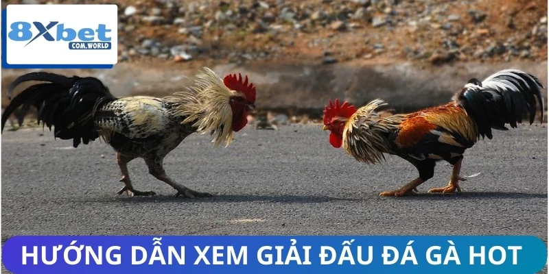 5 bước xem toàn bộ giải hot có trên hệ thống