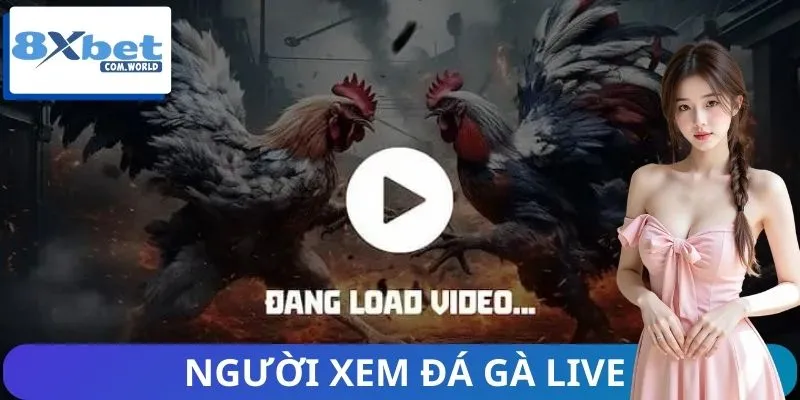 Xu Hướng Người Xem Đá Gà Live 8XBET – Làn Sóng Mới 2026